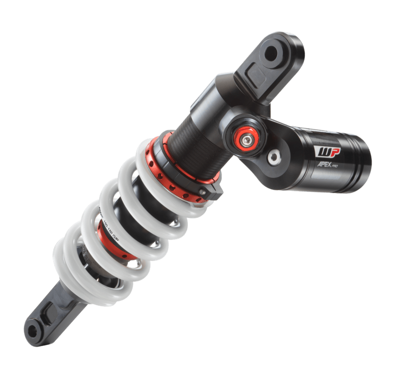 APEX PRO 6746 Shock absorber (15180R81SET)