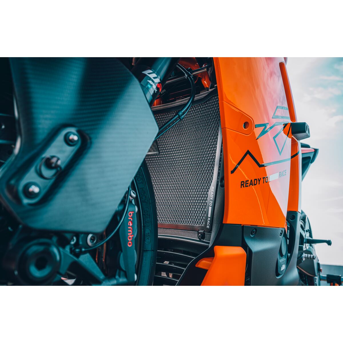 Radiator protection grille