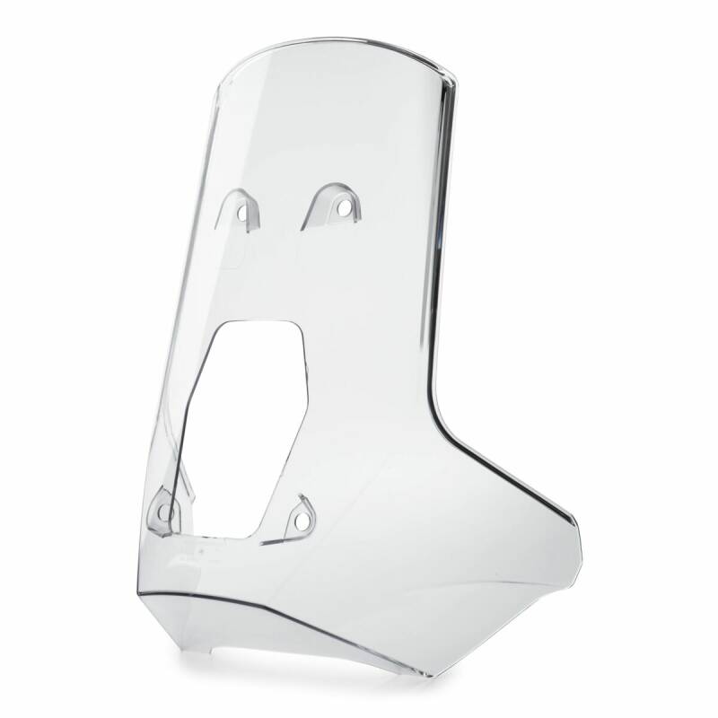 Windshield (A58008008100)