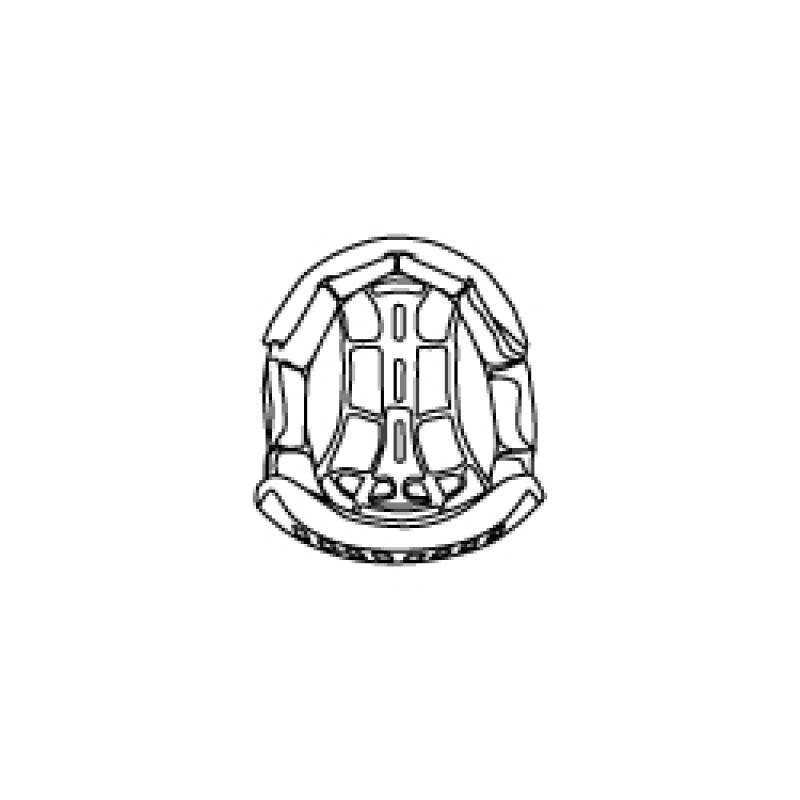 DYNAMIC-FX HELMET INTERIOR (3PW20000330X)